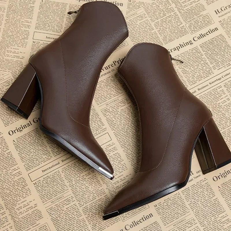 Women's Brown Boots Ankle Block Heel Pointed Toe | Heeled
