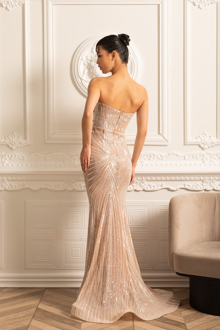 Women’s Sequin Dress Maxi | Evening Gown