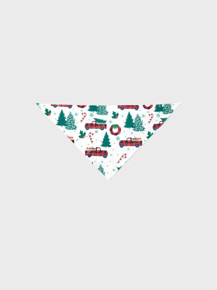 Family Matching Christmas Pyjamas | Long Sleeve
