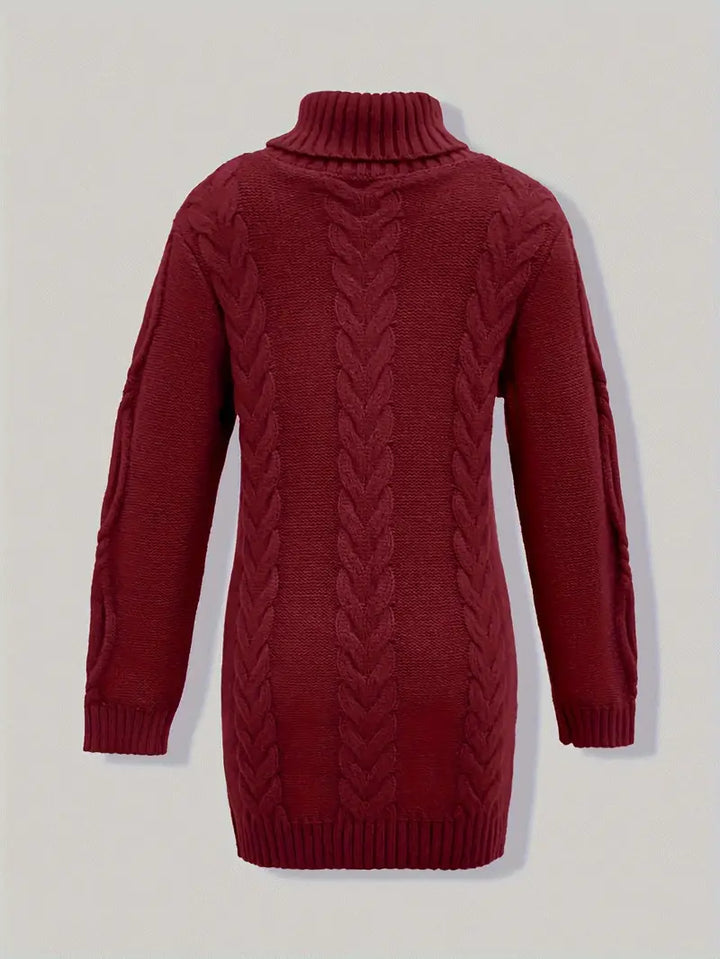 Women's Chunky Cable Knit Dress with Turtleneck | Mini
