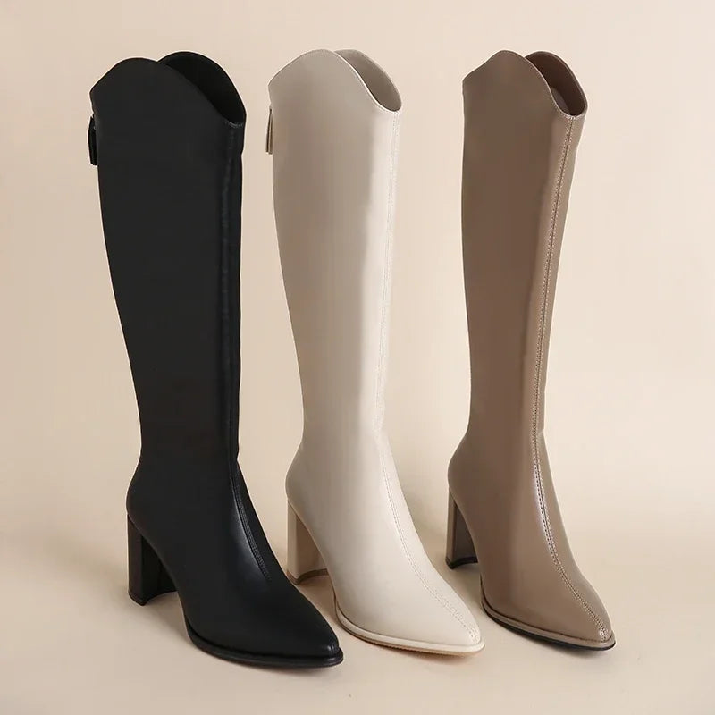 Women's Knee High Boots Block Heel with Pointed Toe | Zip
