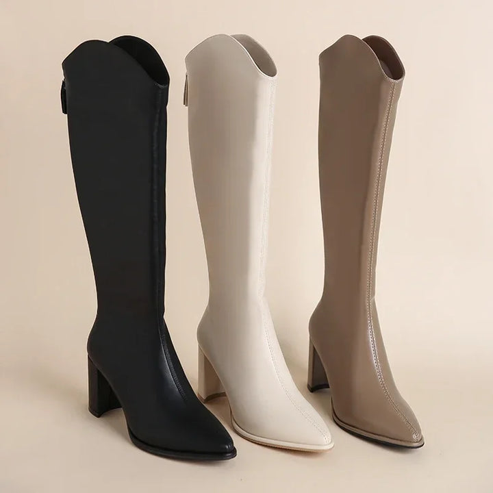 Women's Knee High Boots Block Heel with Pointed Toe | Zip