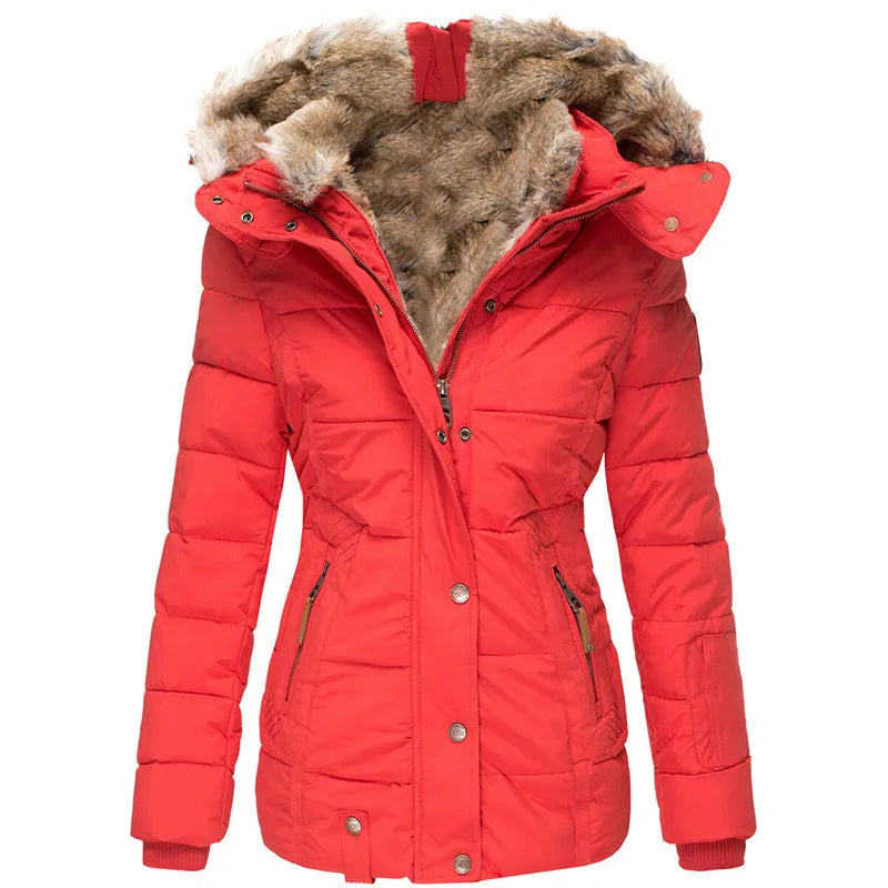 Women's Lined Winter Jacket with Hood & Snap Front | Quilted