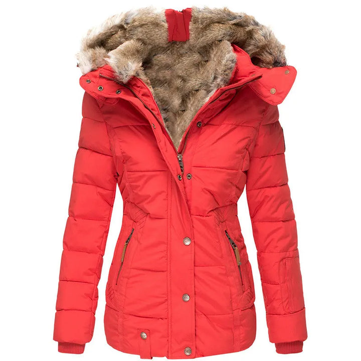 Women's Lined Winter Jacket with Hood & Snap Front | Quilted