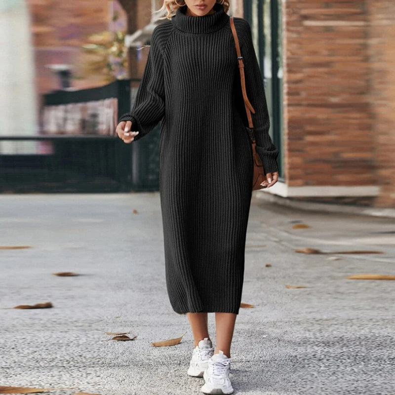 Women's Long Sleeve Knit Dress | Roll Neck