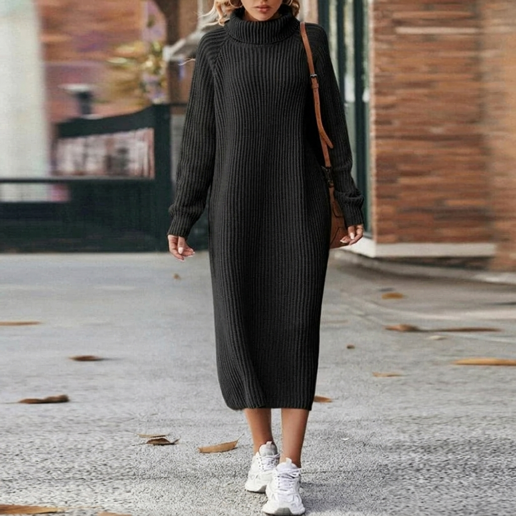 Women's Long Sleeve Knit Dress | Roll Neck